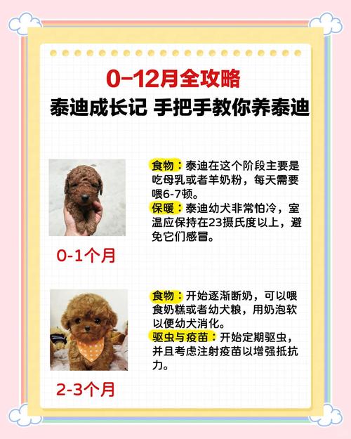 柴犬几个月长大