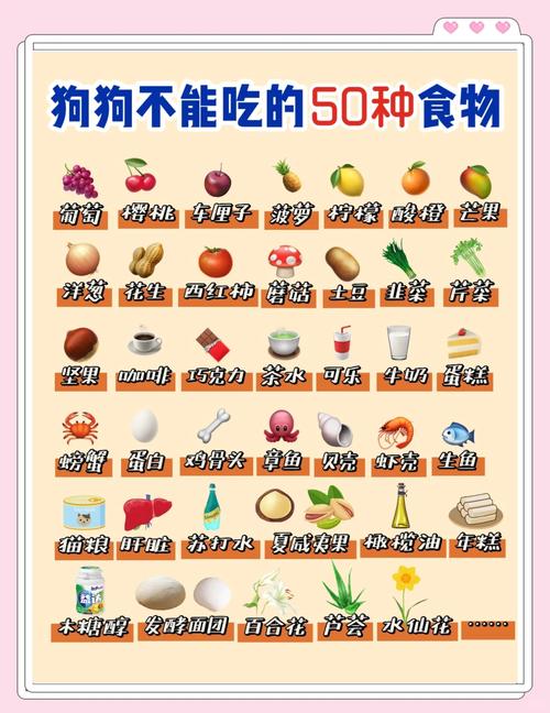 狗狗能吃的东西清单