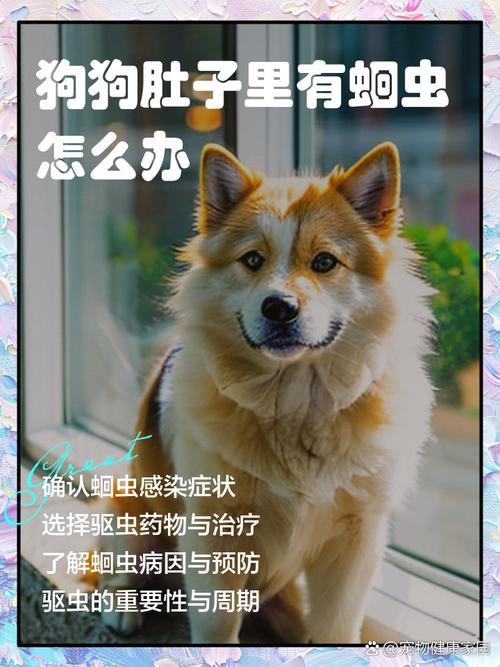 狗狗肚子里有蛔虫怎么办