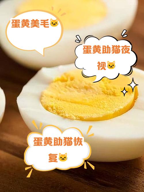 猫吃蛋黄的好处和坏处
