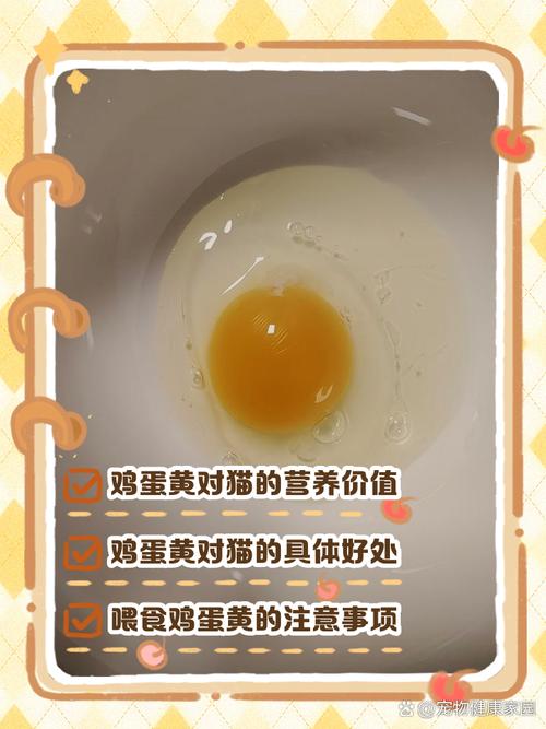 猫咪吃蛋黄有什么好处和坏处