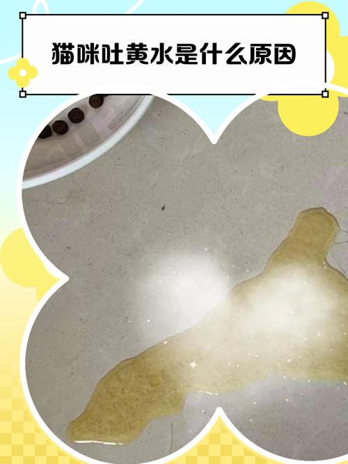 猫为什么会吐一堆黄东西