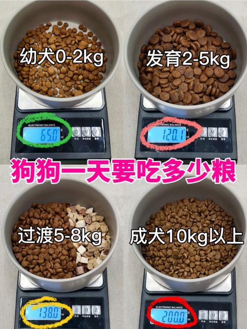 小狗多大可以吃狗粮,小狗吃什么狗粮好?