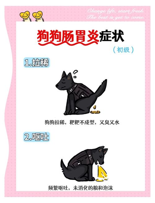 狗狗拉肚子能不能吃东西