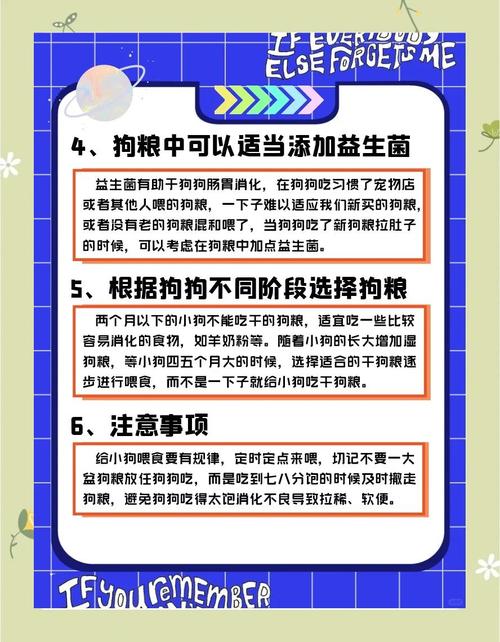 换了狗粮后狗拉稀如何治疗
