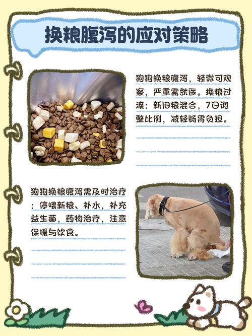 狗狗换粮拉稀要停食吗