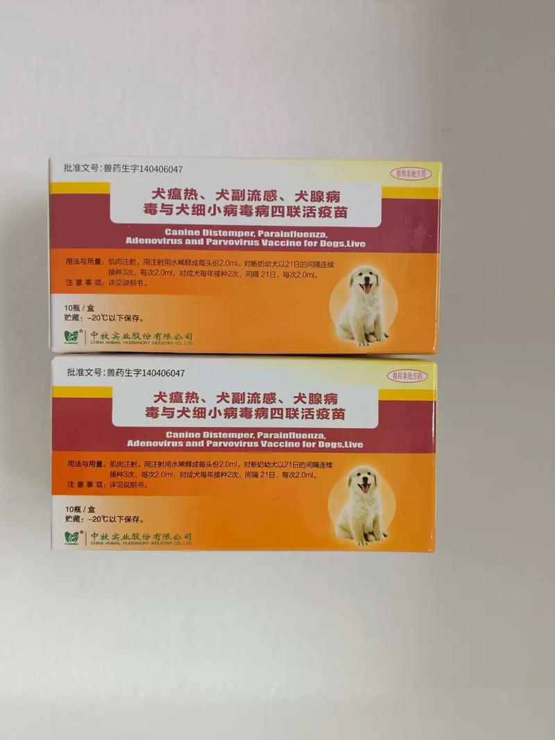 防止狗狗细小犬瘟的疫苗年年都要打吗