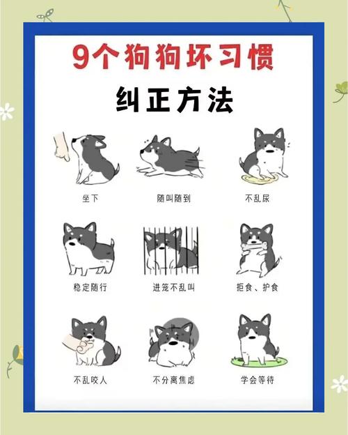 狗狗吃肝脏有什么好处和坏处?