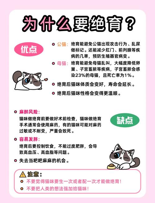 猫猫做绝育的好处有哪些?