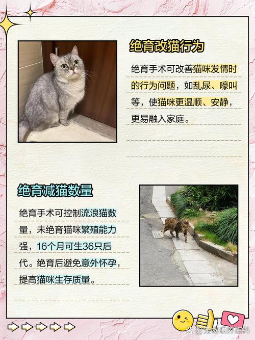 猫绝育的好处和坏处