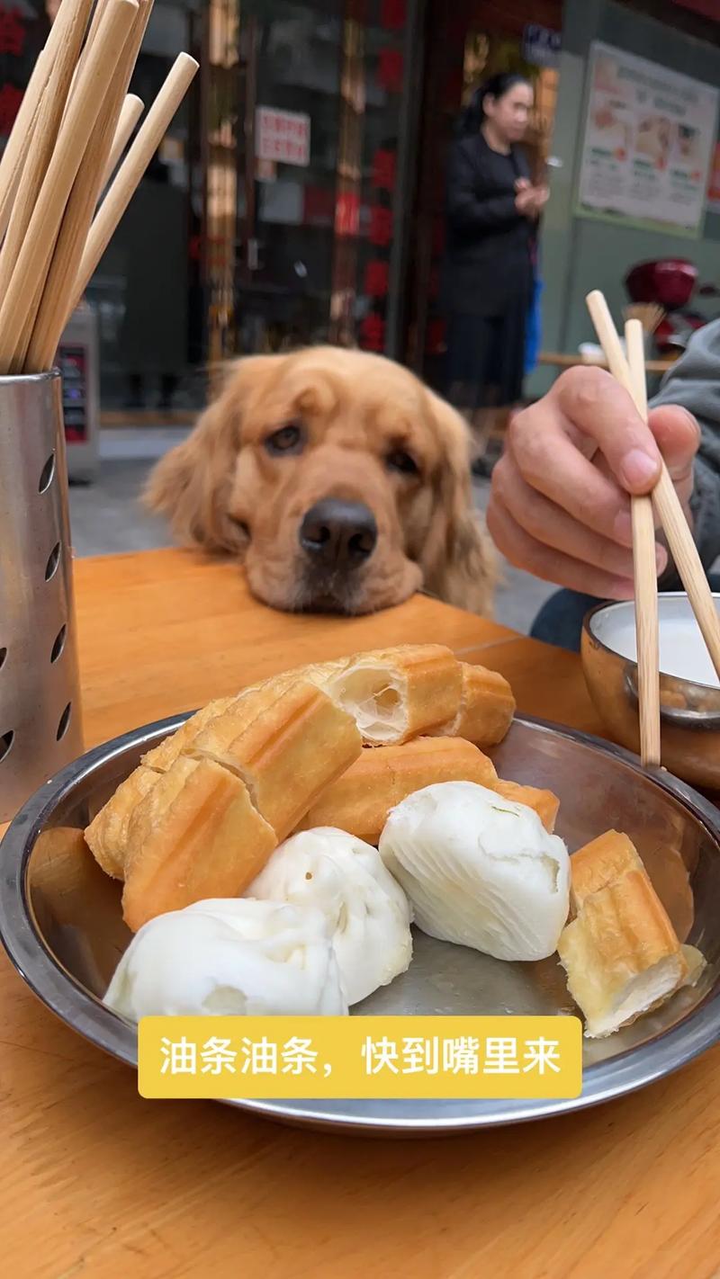 给金毛吃油条会怎么样?