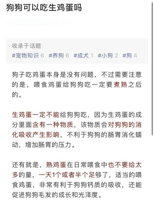 小狗狗为什么不能吃鸡蛋