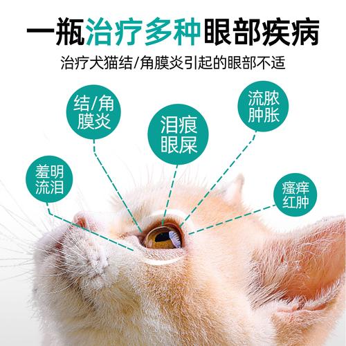 小猫眼睛流脓睁不开用什么眼药水