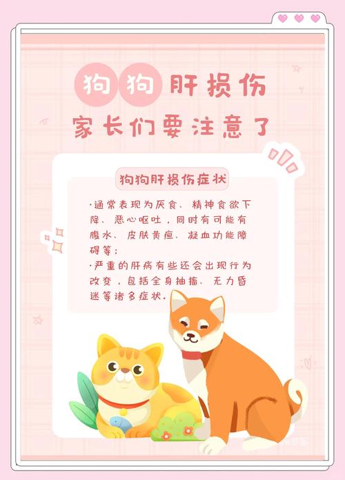 狗狗出车祸内出血症状