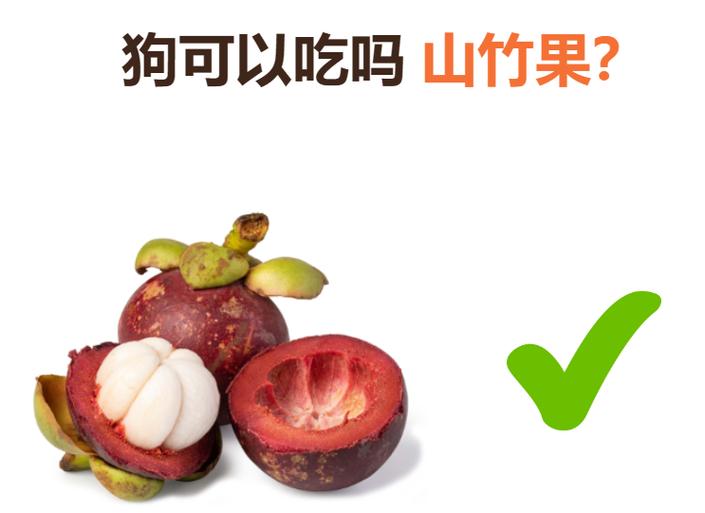 狗狗是否不能多吃山竹?