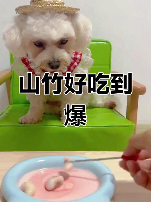 狗狗可以吃山竹吗?