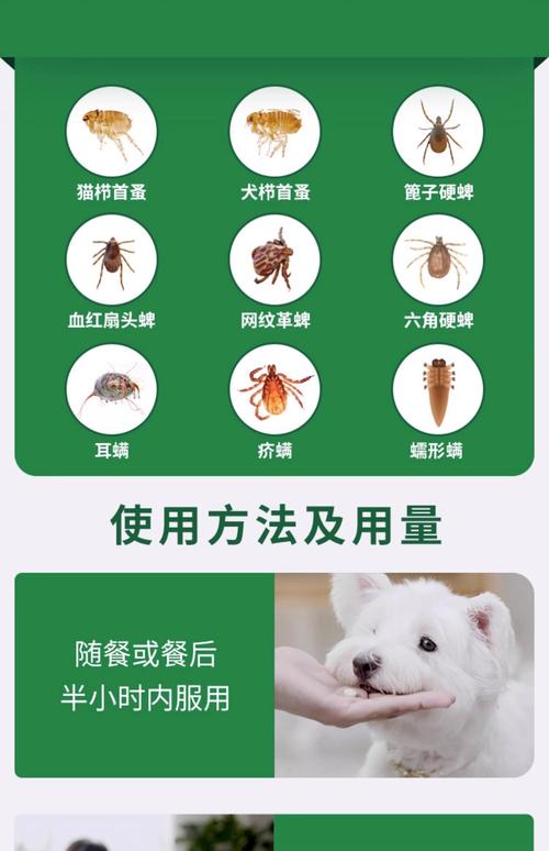 狗身上的跳蚤用什么药能杀死