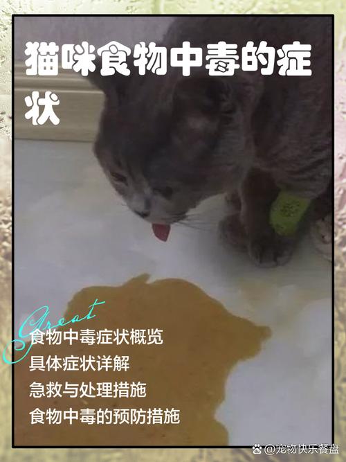 猫咪发抖不可轻视!是在告诉主人这几件事