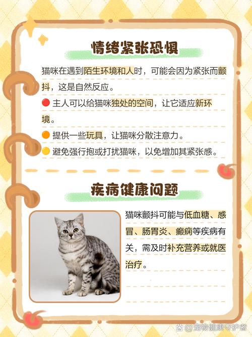 猫咪食物中毒的症状