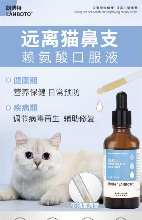 小猫发烧吃什么药?