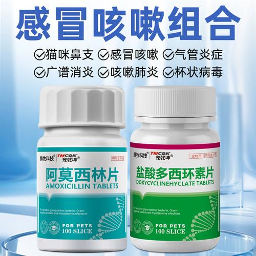 猫咪感冒了,吃什么药啊?