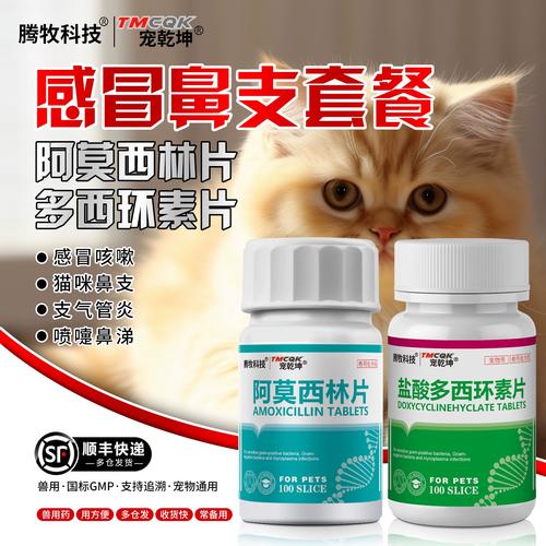 猫感冒吃什么药