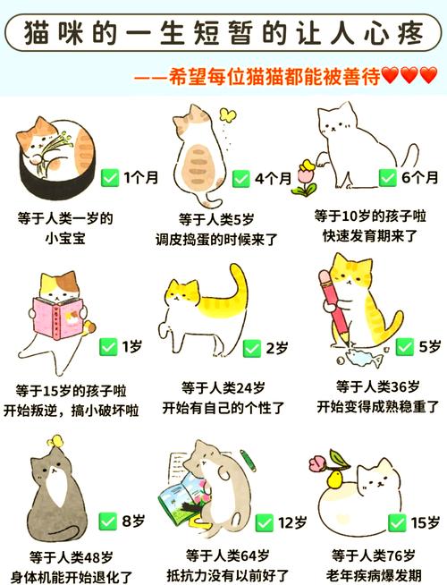 如何判断猫咪性成熟?