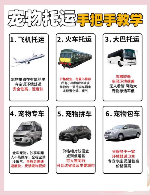 狗狗能带进高铁吗