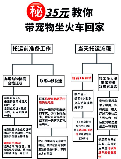 偷偷带狗坐高铁