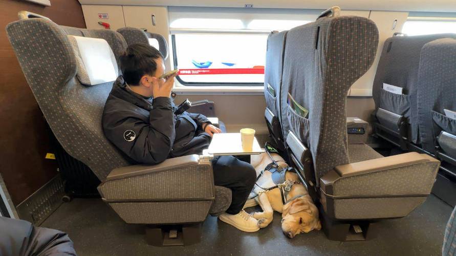 狗狗能带上高铁吗