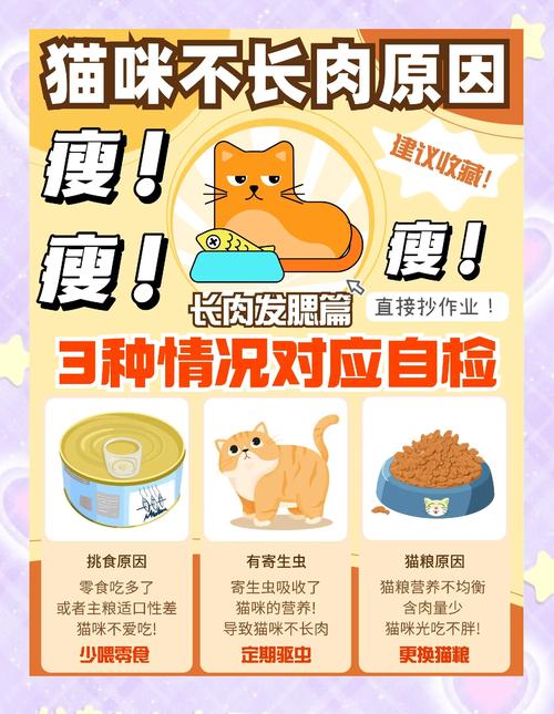 银渐层多大能发腮啊?