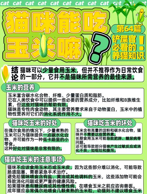 猫咪吃玉米的好处有什么?