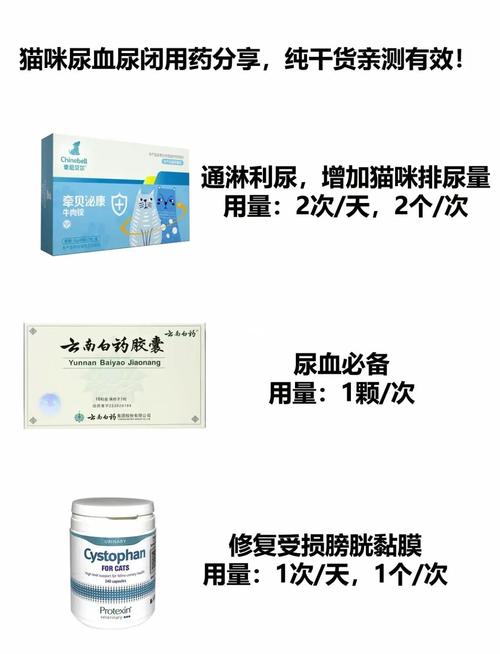 猫咪尿血怎么办?