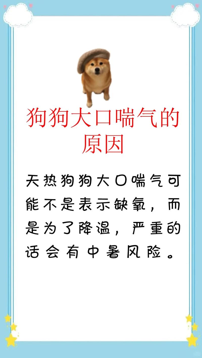 狗狗突然呼吸急促喘气声大怎么办吃什么药