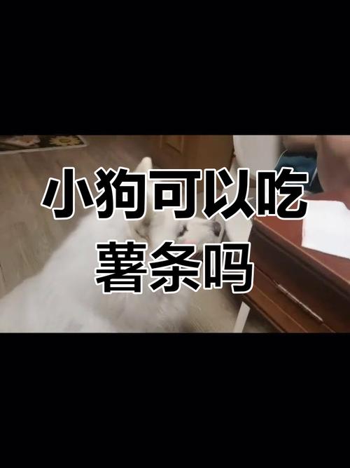 狗狗为什么吃马铃薯条会死