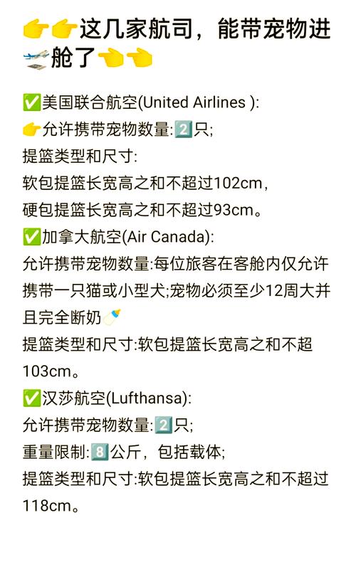 带猫坐飞机一定要托运吗?为什么?