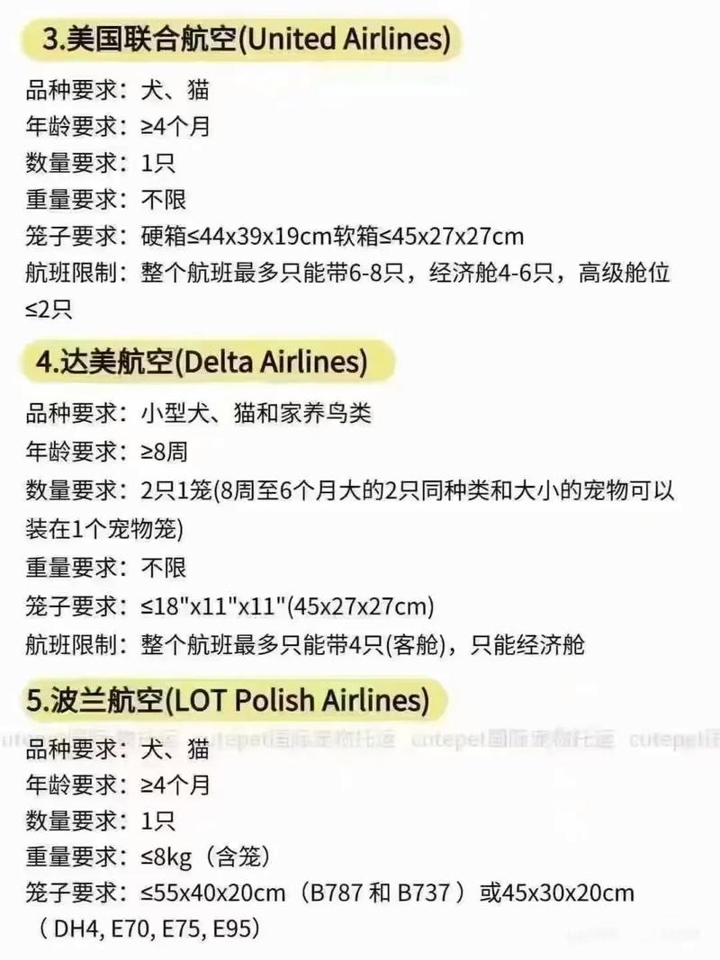 跨省怎么带猫咪回去