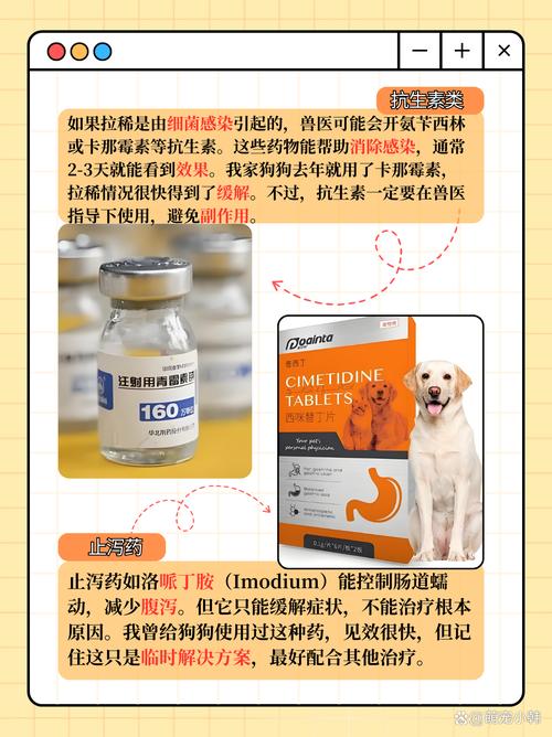 狗狗拉肚子带血吃什么药