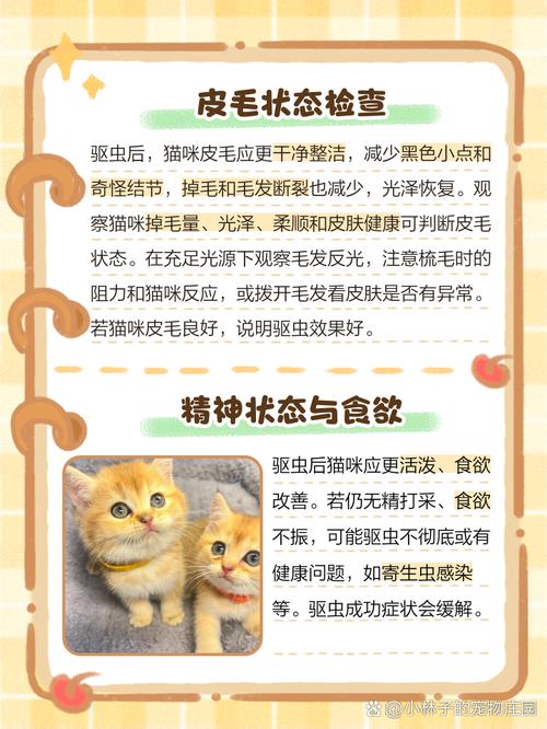 猫咪粪便生好多小飞虫
