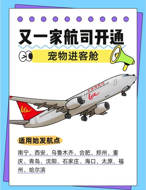 怎么把狗狗带上飞机