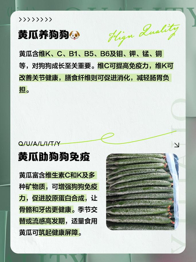 狗狗可以吃哈密瓜不?