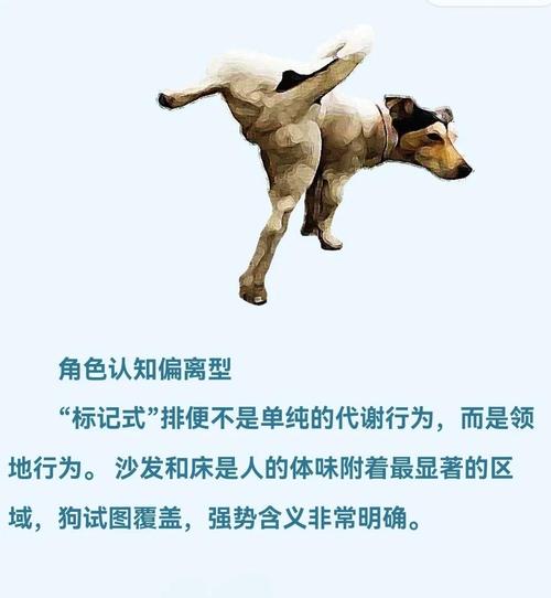 什么时候狗狗才会抬着腿尿尿?