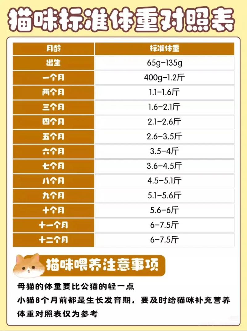 猫的标准体重是多少斤?