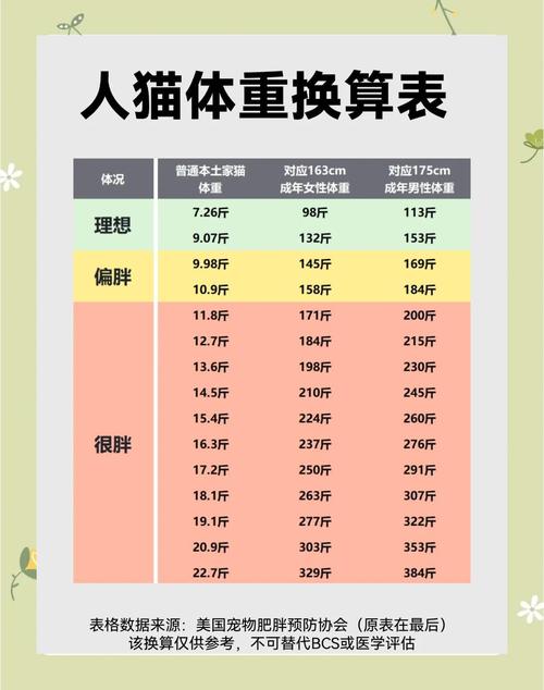 英短正常体重年龄对照表是怎样的?