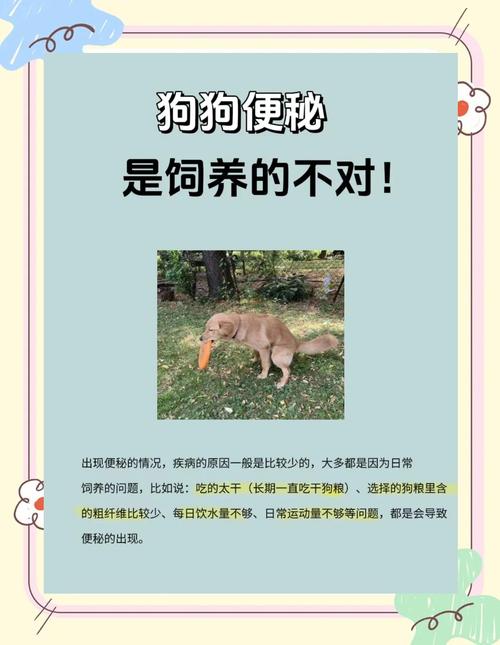 狗狗有排便姿势却拉不出来