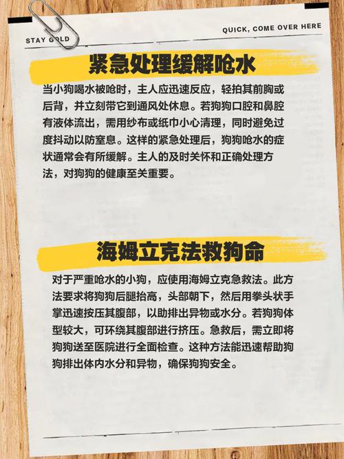 狗狗被呛到了怎么办