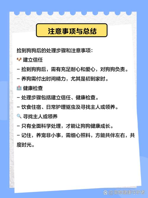 捡到一只流浪狗,应该怎么处理?