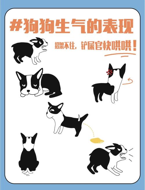 狗狗生气了,主人该如何哄呢?