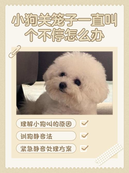 如何让自己的狗狗不叫?