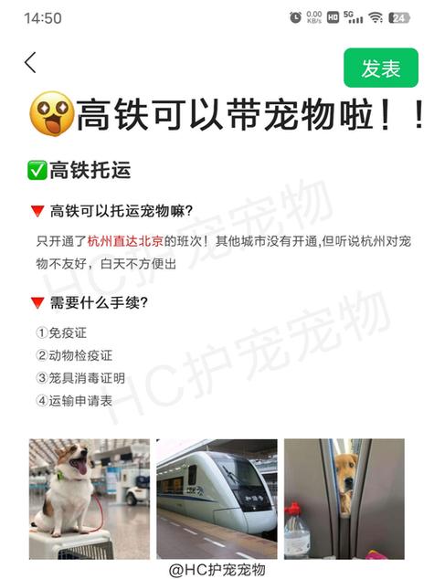 猫咪可以坐高铁不